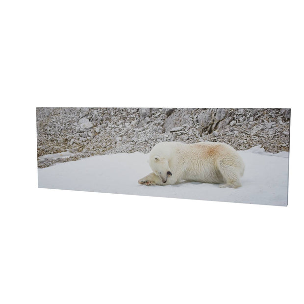 Grooming Time, Svalbard