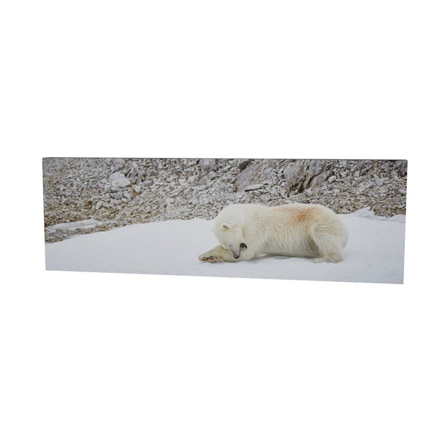 Grooming Time, Svalbard