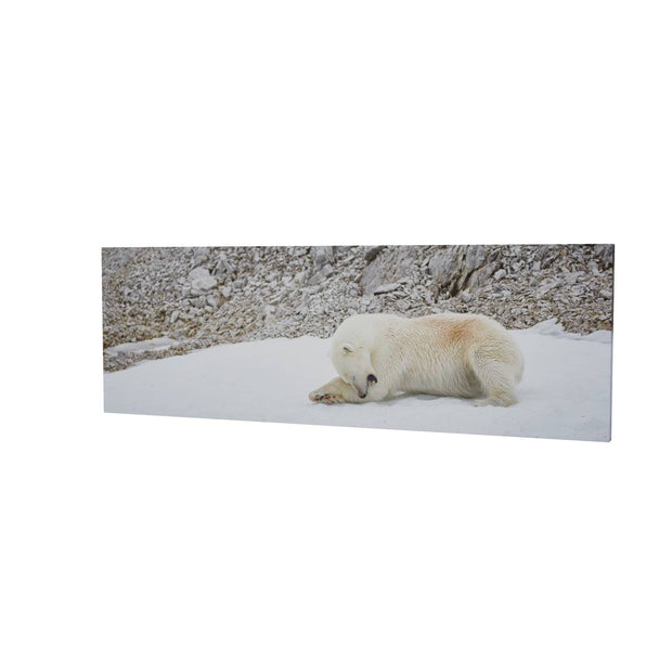 Grooming Time, Svalbard
