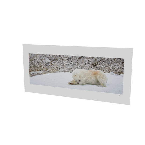 Grooming Time, Svalbard
