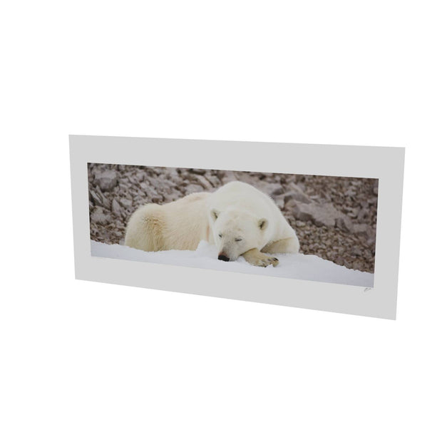Sleeping Polar Bear II, Svalbard