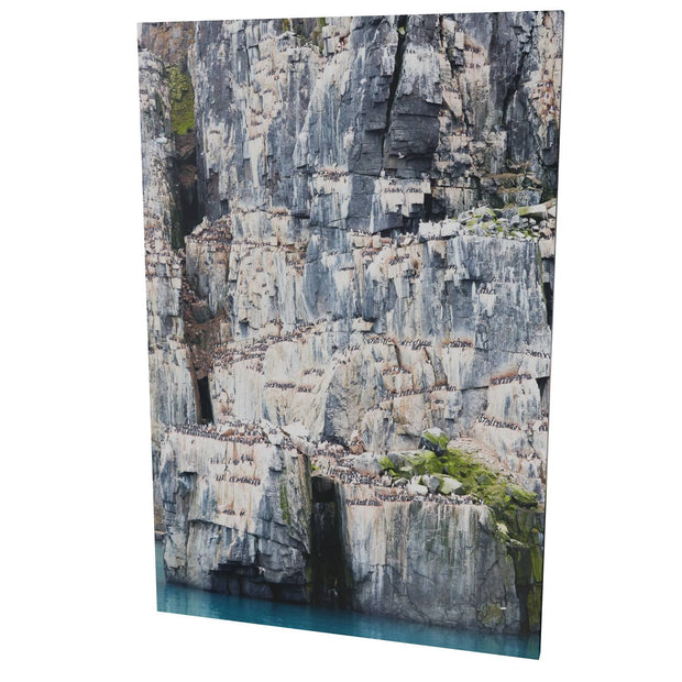 Cliff Detail, Alkefjellet