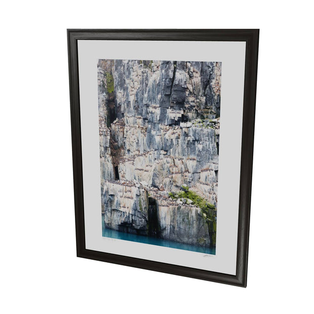 Cliff Detail, Alkefjellet