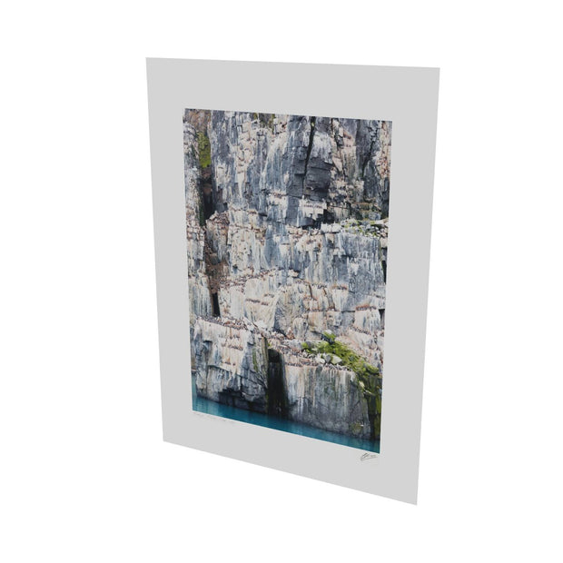 Cliff Detail, Alkefjellet