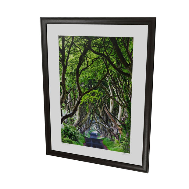 The Dark Hedges, Co. Antrim