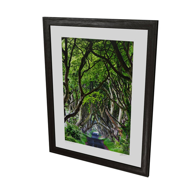 The Dark Hedges, Co. Antrim