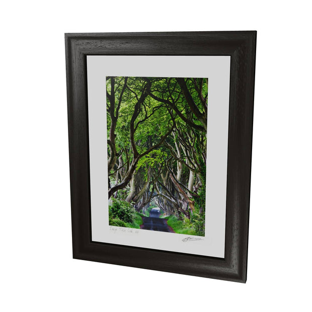The Dark Hedges, Co. Antrim