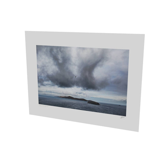 Dursey Island & Gannet, Co. Cork