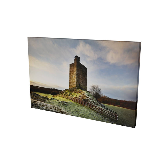 Carrigaphooca Castle, Co. Cork