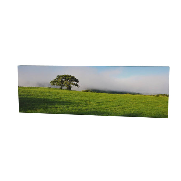 Ballingeary Lone Tree, Co. Cork