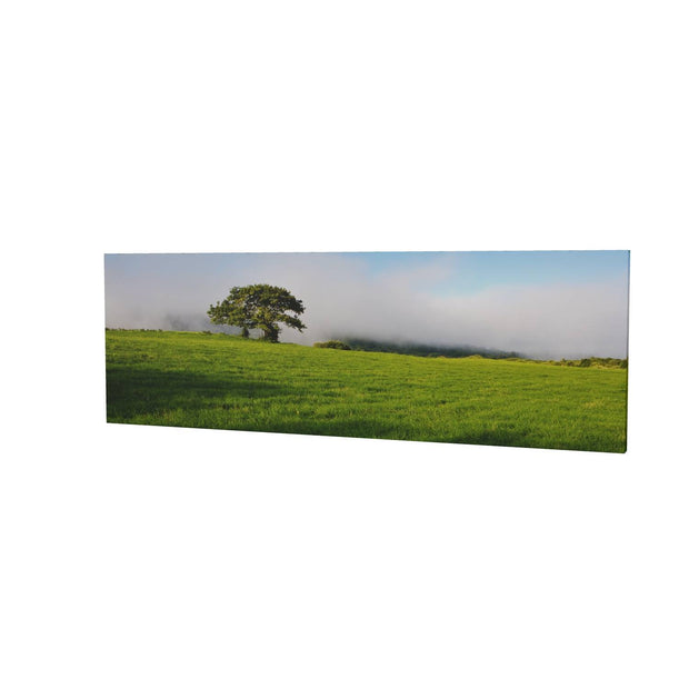 Ballingeary Lone Tree, Co. Cork