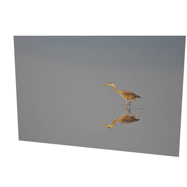 Heron, Co. Dublin