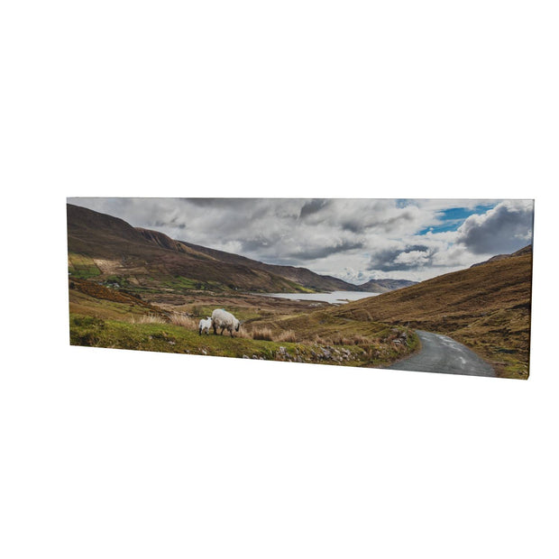 Lough Nafooey and Sheep, Co. Galway