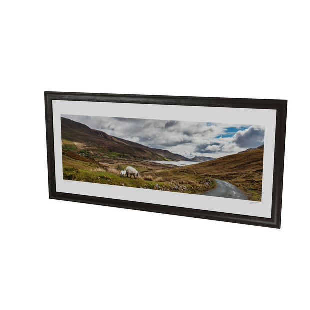 Lough Nafooey and Sheep, Co. Galway
