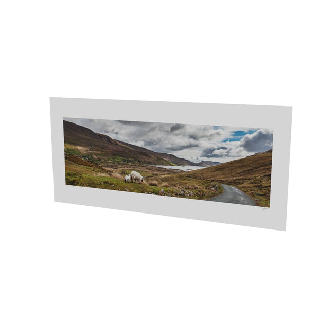 Lough Nafooey and Sheep, Co. Galway