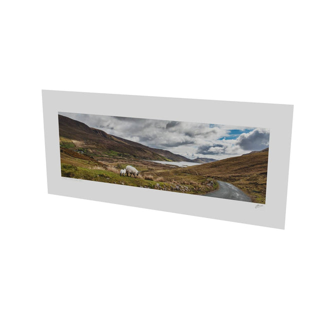 Lough Nafooey and Sheep, Co. Galway