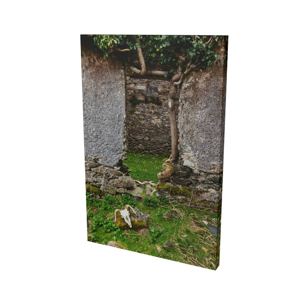 Skull and Door, Black Valley, Co. Kerry