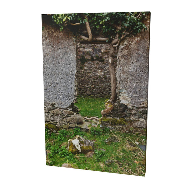 Skull and Door, Black Valley, Co. Kerry