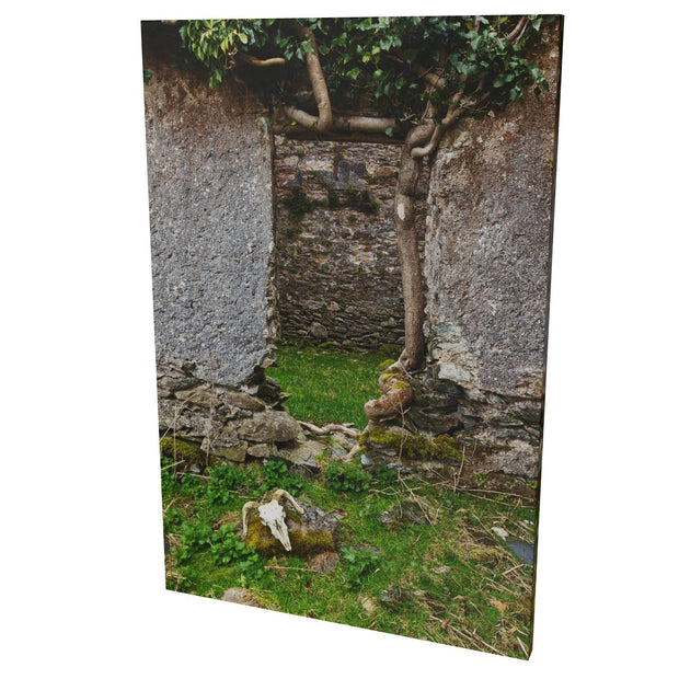 Skull and Door, Black Valley, Co. Kerry