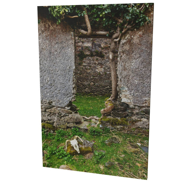 Skull and Door, Black Valley, Co. Kerry