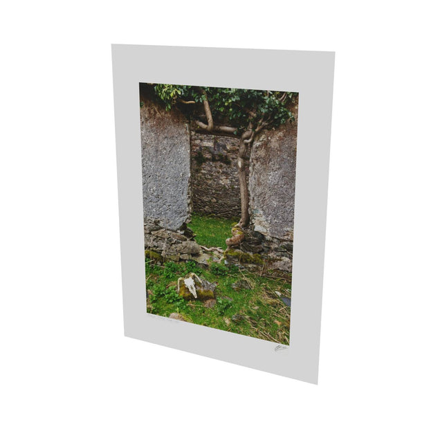 Skull and Door, Black Valley, Co. Kerry