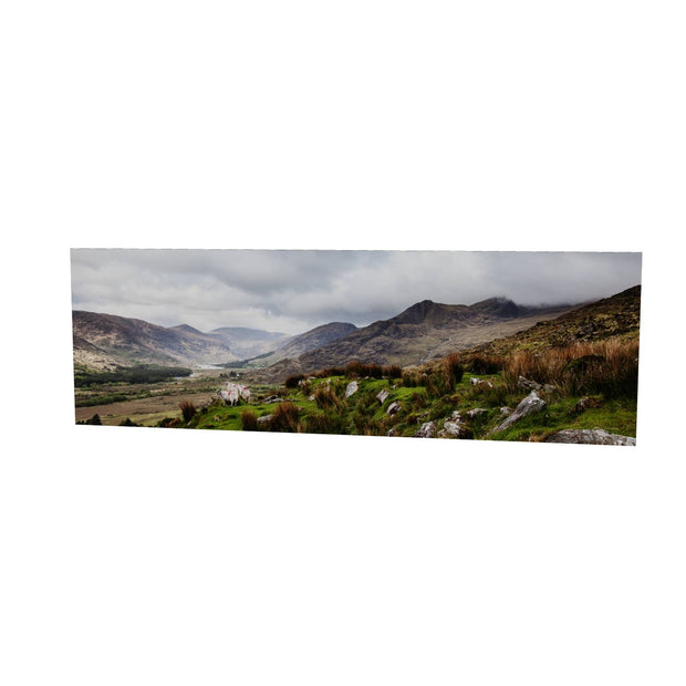 Sheep, the Black Valley, Co. Kerry
