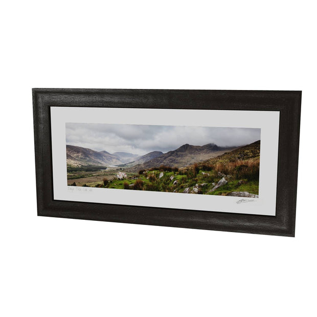 Sheep, the Black Valley, Co. Kerry