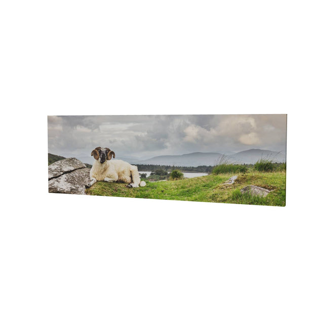 Taking it Easy, Gleninchiquin, Co. Kerry
