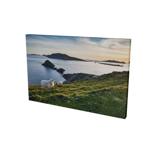 Dunmore Head with Sheep, Co. Kerry