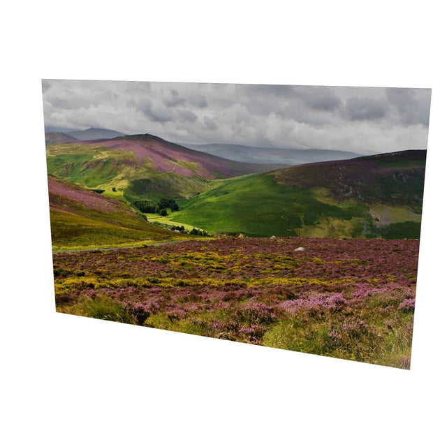 Wicklow Mountains
