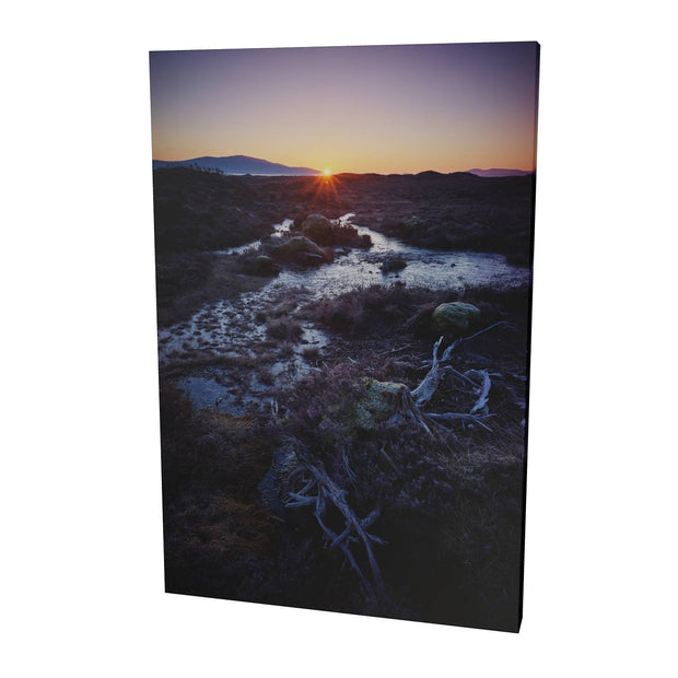 Sunrise, Rannoch Moor, Scotland