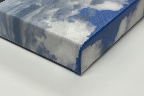 Canvas Prints