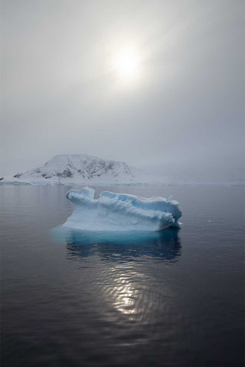 Small blue iceberg glowing in misty overcast light on dark still waters of Charlotte Bay, Antarctic Peninsula — fine art landscape photograph by Peter Cox