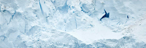 Panoramic view of a glacier front showing electric blue crevasses at Cuverville Island, Antarctic Peninsula, fine art landscape photograph by Peter Cox