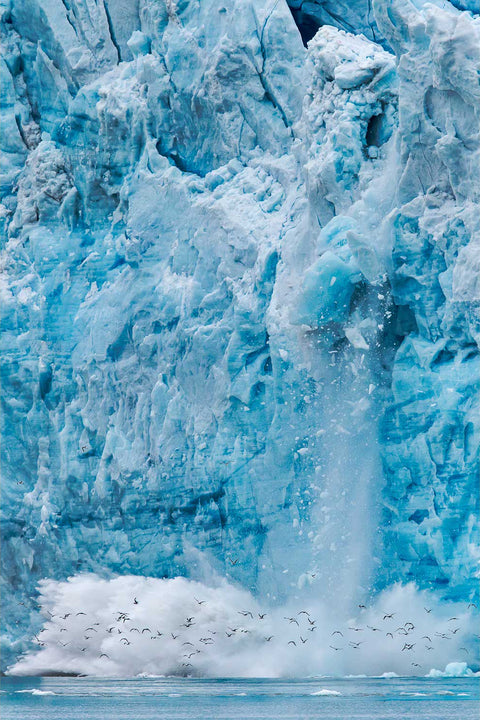 Glacier dramatically calving into the sea with kittiwakes flying through the spray at Svalbard, fine art landscape photograph by Peter Cox