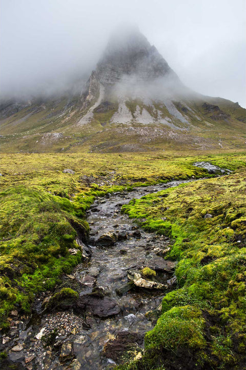 Alkhornet mountain in mist with green tundra and stream, Svalbard, fine art landscape photograph by Peter Cox