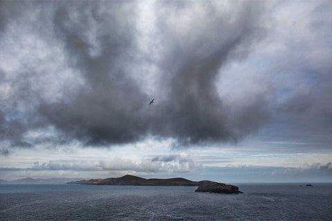 Dursey Island with gannet in flight seen from Bull Rock, Co. Cork, fine art landscape photograph by Peter Cox