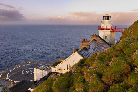 Sea pink wildflowers with Bull Rock lighthouse buildings, helipad and ocean beyond on a fine morning off the Cork coast