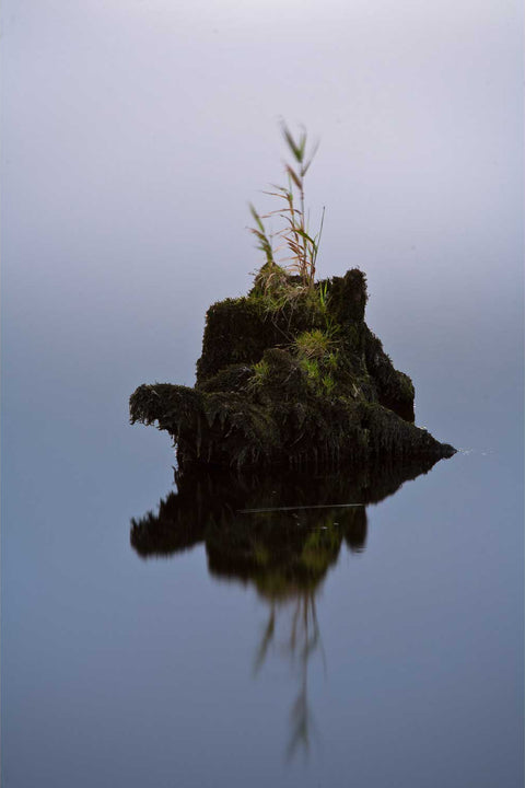 A lonely tree stump protruding from still water in the ancient Gearagh woodland near Macroom, County Cork