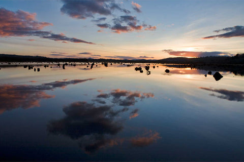 Sunset over the flooded Gearagh ancient woodland near Macroom in County Cork with submerged trees and warm light