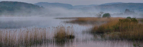 Morning Mist, Lough Allua, Co. Cork