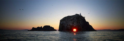 Sunrise shining through the natural tunnel of Bull Rock with the lighthouse above and gannets circling, Cork