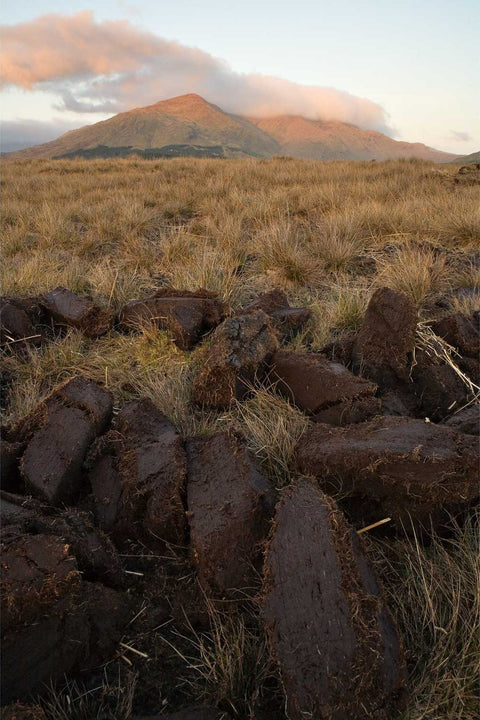Turf drying at sunset with Connemara mountains in the background, Co. Galway, Ireland, fine art landscape photograph by Peter Cox