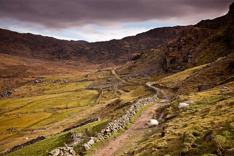 A section of the Kerry Way hiking trail leading up to the Lack Road near Lough Acoose through the Kerry mountains