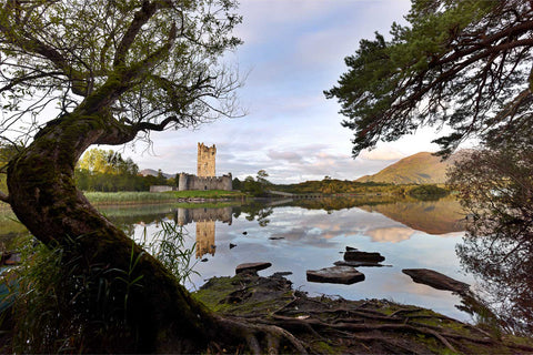Ross Castle framed by an overhanging tree, reflected in the still waters of Lough Leane on a calm summer morning in Killarney
