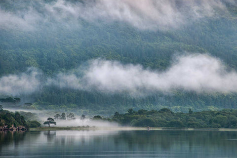 A lone tree highlighted by fog on the far bank of Lough Leane with wisps of cloud on the hills, Killarney, Kerry