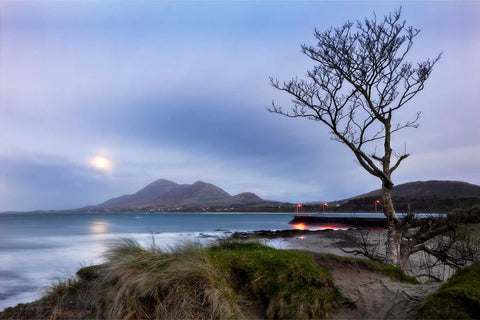 Moonrise over Croagh Patrick at night with trees and coastal lights, Co. Mayo, Ireland, fine art landscape photograph by Peter Cox