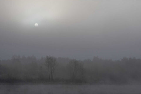 Sun attempting to burn through thick fog over the lakes at Pontoon, County Mayo with trees emerging from mist