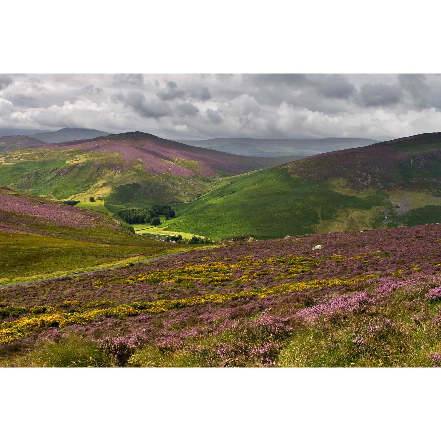 Wicklow Mountains