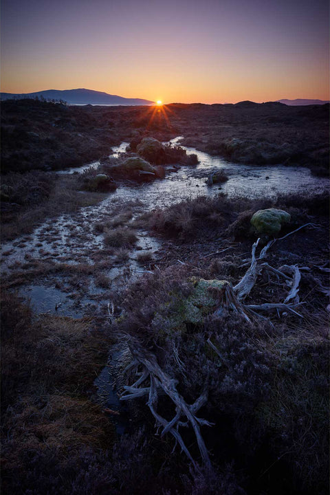 Frosty winter sunrise over Rannoch Moor in the Scottish Highlands with golden light and blue shadows across the wilderness